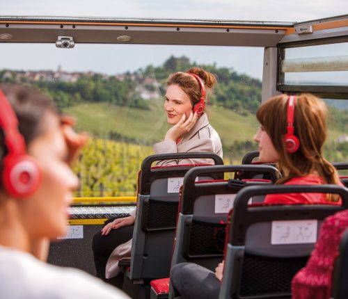 Tag des Weines: Weinreise nach Stuttgart gewinnen!
