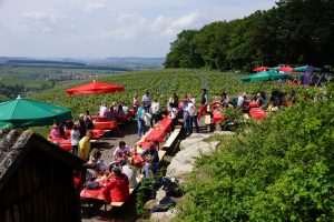 Man sieht zahlreiche Menschen an Holzbänken und -tischen, in einem Weinberg mit herrlichem Ausblick auf das Weinsberger Tal.