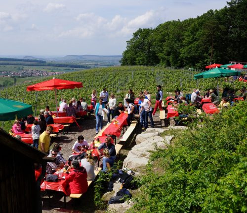 Man sieht zahlreiche Menschen an Holzbänken und -tischen, in einem Weinberg mit herrlichem Ausblick auf das Weinsberger Tal.