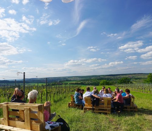 Man sieht eine gemütlich im Weinberg sitzende Menschengruppe und ein Paar, mit herrlichem Ausblick auf das Weinsberger Tal.