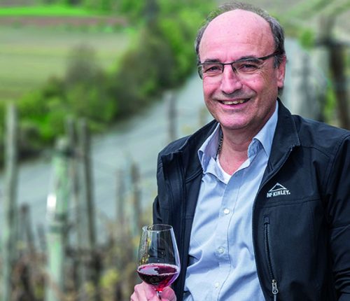 Dr. Reustle im Interview zu neuen Rebsorten, mit Rotweinglas in den Weinbergen nahe der Felsengärten