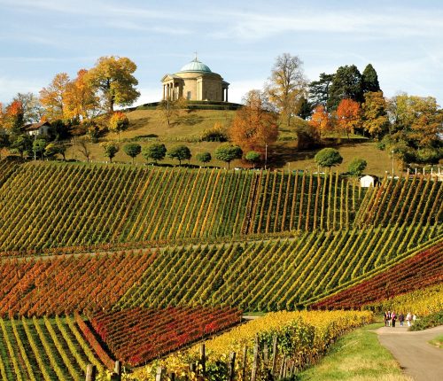 Der Stuttgarter Weinwanderweg