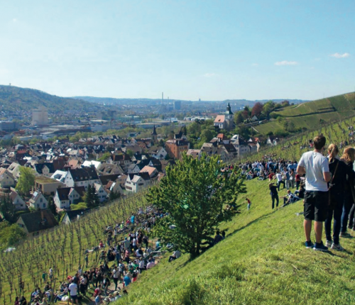 Besucher am Weinwandertag auf dem Ailenberg