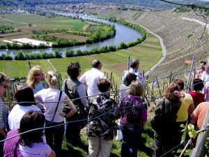 Die Netzwerkerin mit Weinweitblick mit regelmäßigen Touren durch die Württemberger Weinlandschaft