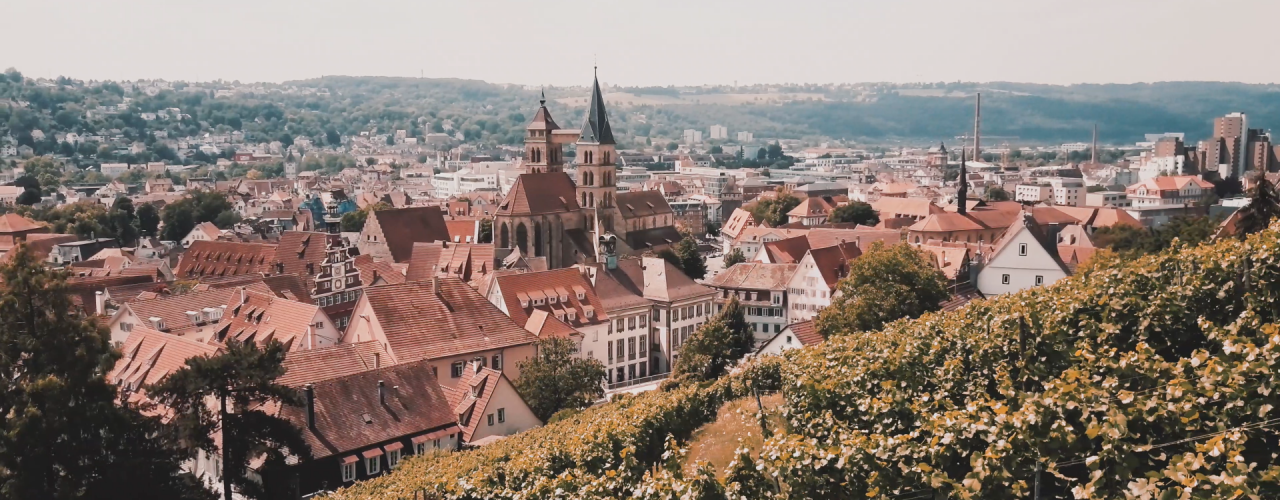 Blick über Esslingen und die Steillage an der Burg