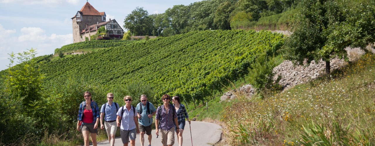 Kleine Gruppe auf dem Württembergischen Weinwanderweg