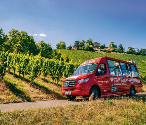 Weinberg, roter Bus