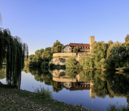 Die Drei aus dem Weinsüden: Lauffen am Neckar