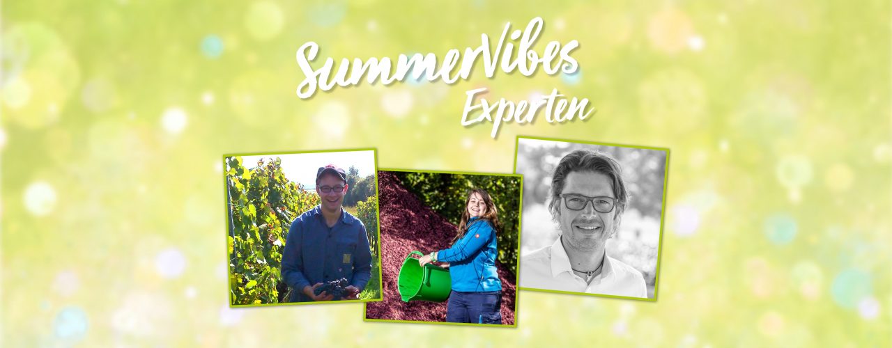 Drei der Teilnehmer der Online-Verkostung "SummerVibes aus der Weinheimat"