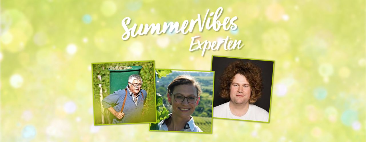 Der zweite Teil der Experten der Online-Verkostung "SummerVibes aus der Weinheimat".