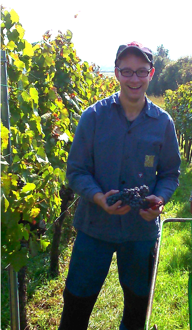 Auch Simon Dorsch nimmt an der Online-Verkostung "SummerVibes aus der Weinheimat" teil.