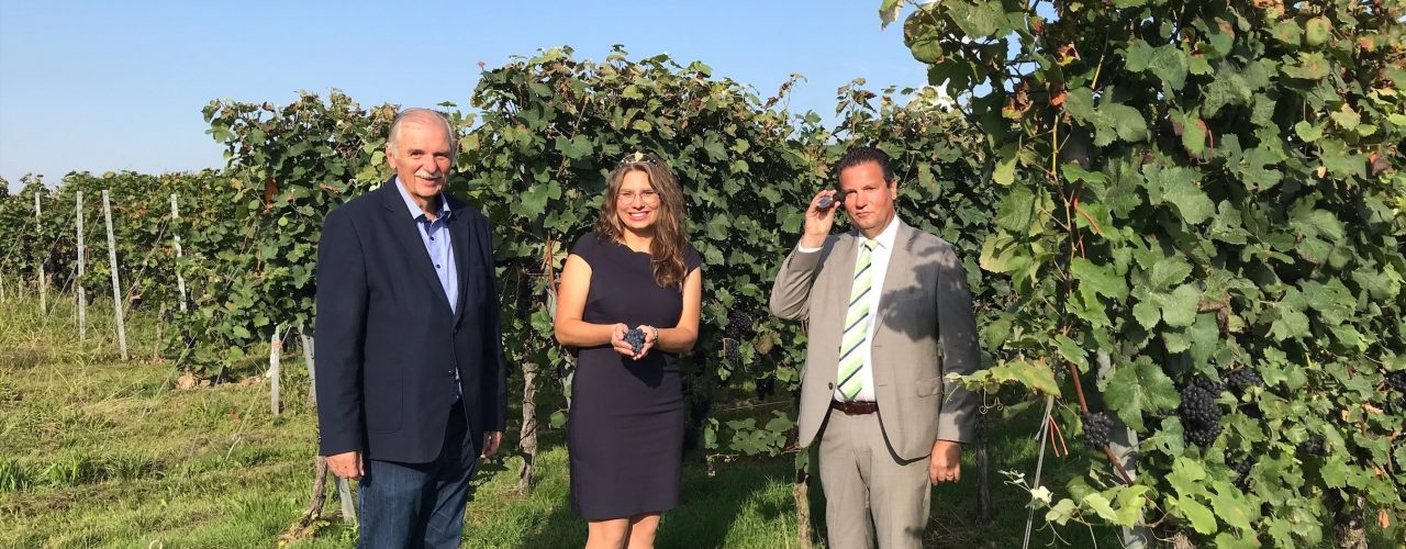 Weinbaupräsident Hermann Hohl, Weinkönigin Tamara Elbl, Weinbauminister Peter Hauk