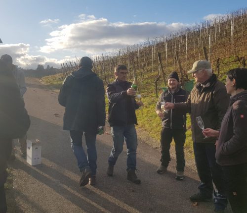 Mehrere Weingärtner des Collegium Wirtemberg feiern nach dem Ende der Spätlese im Dezember