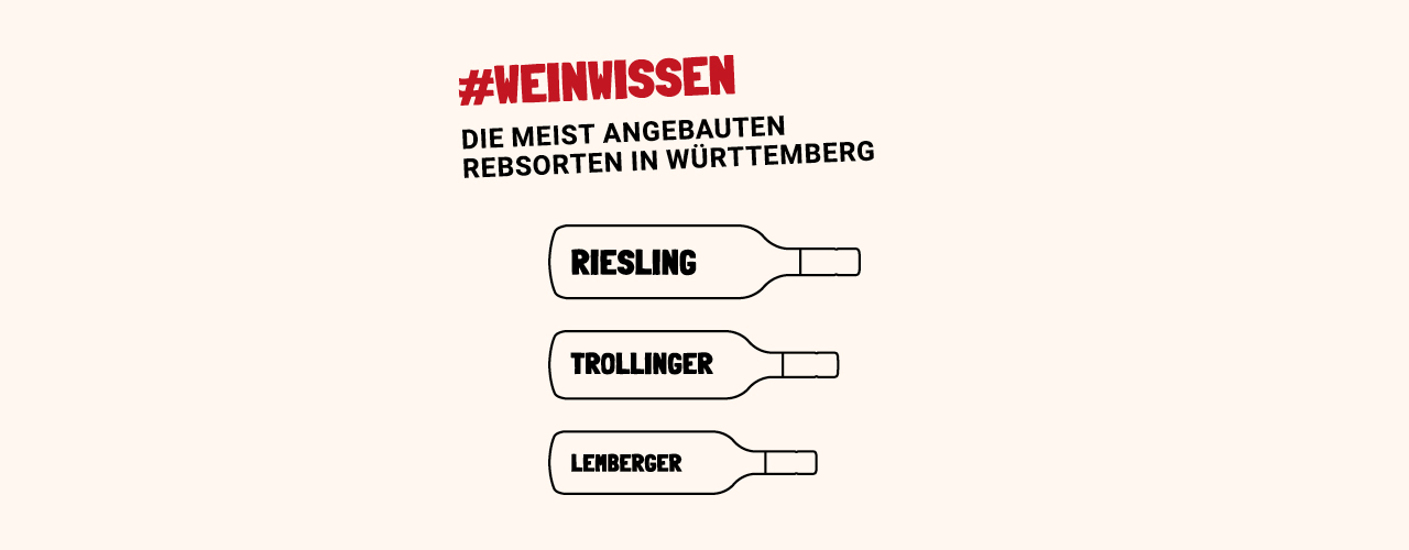 Infografik mit drei Weinflaschen, auf denen Riesling, Trollinger und Lemberger steht, Riesling meistangebaute Rebsorte in Württemberg