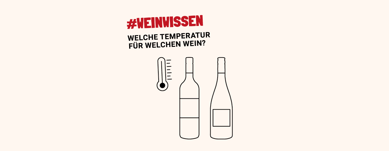 Infografik zur richtigen Weintemperatur