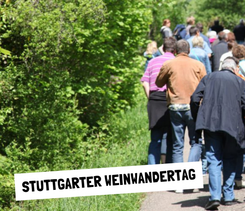 Stuttgarter Weinwandertag: Rohracker und Hedelfingen am 8. Mai