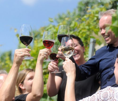Tipp: Weinsüden Pop-up in Lauffen