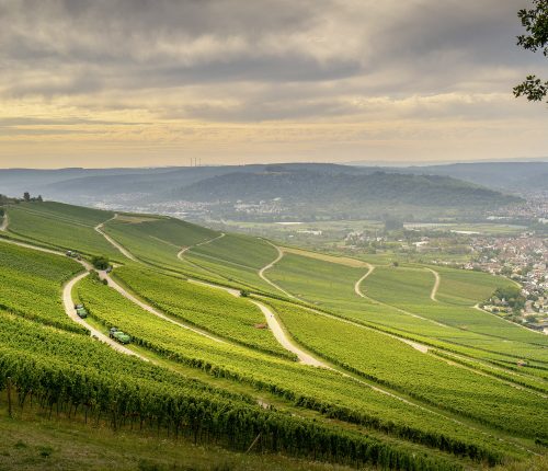Remstal: Das Wein- und Familienparadies