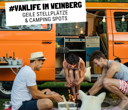 Camping in den Weinbergen: Wir zeigen Dir tolle Spots