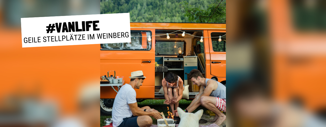 Camping Spots im Weinberg
