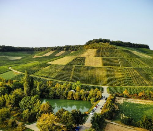 Zu sehen sind der Mönchsberg und der Mönchsbergsee, wo am 06.08.2022 ein Weinsüden Pop-up stattfindet