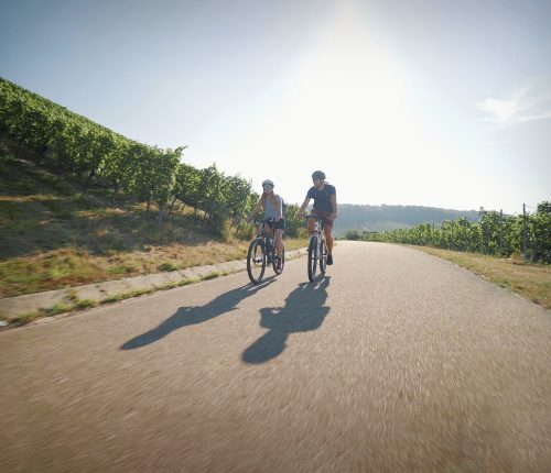 Zwei Radler auf dem Württemberger Weinradweg