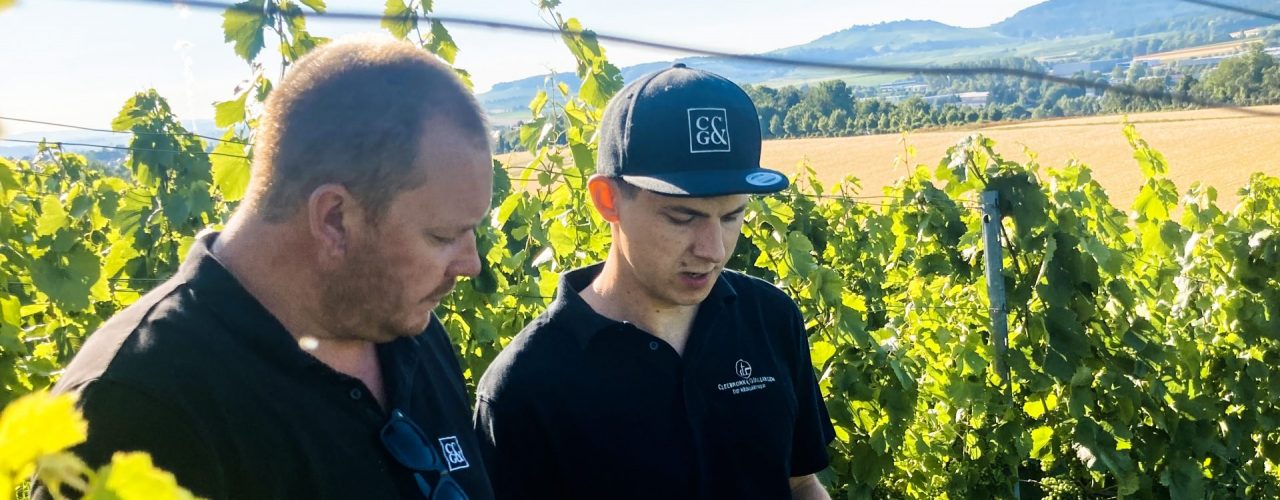 Ein Prüfer der Weingärtner Cleebronn-Güglingen steht im Weinberg und prüft die Trauben eines Weingärtners kurz vor der Lese 2020. Motto: Mehr Geld für bessere Trauben