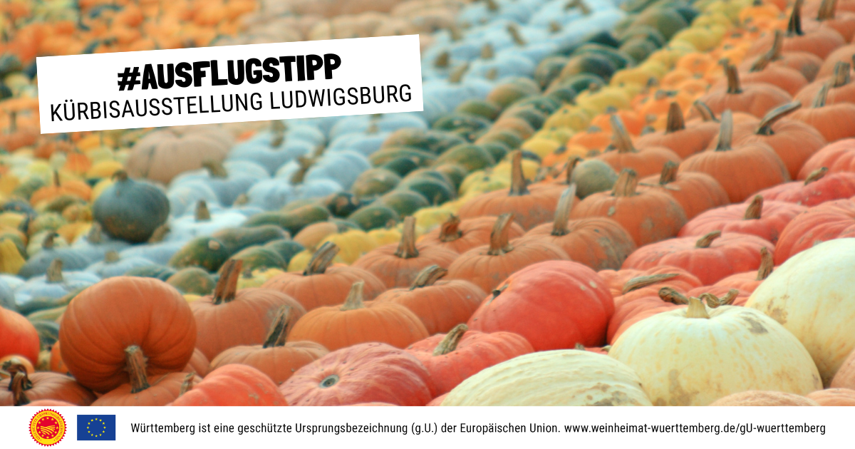 Das Blühende Barock Ludwigsburg verwandelt sich in einen Dschungel! Bei der Kürbisausstellung in Ludwigsburg kommen alle auf Ihre Kosten.