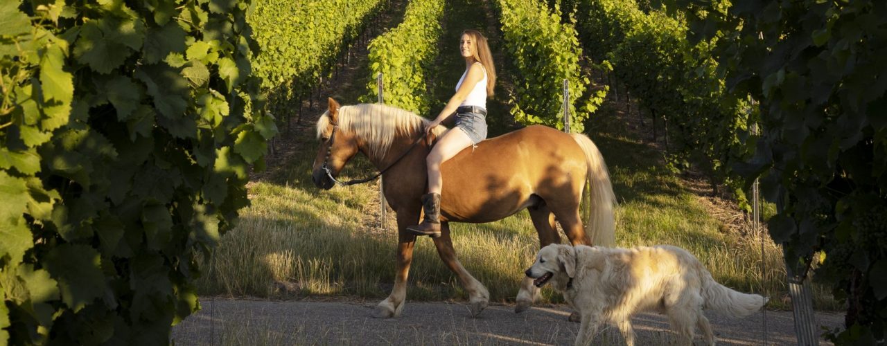 Luisa Wein reitet auf einem Pferd durch die Weinberge, begleitet von ihrem Hund