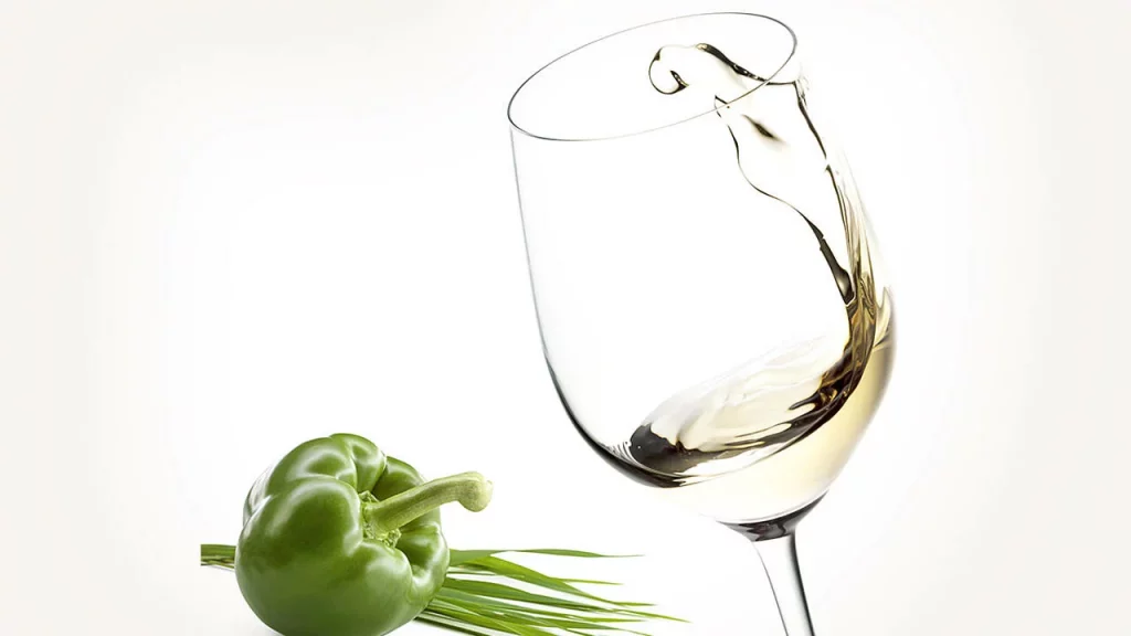 Aromasorten: Grafik Weinglas mit der Paprika, einem typischen Aroma des Sauvignon Blanc