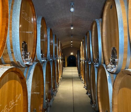 Kellermeister lieben diesen Anblick: Links und rechts eine Reihe von Weinfässern aus Holz.