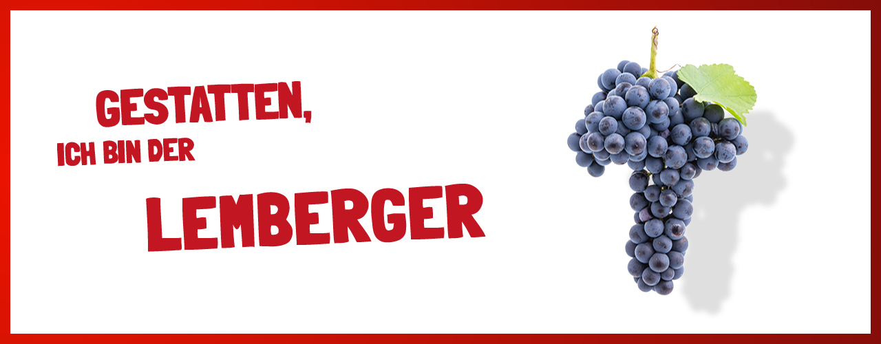 Rebsorte: Lemberger - Weinheimat Württemberg