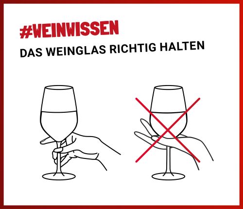Weinwissen: Das Weinglas richtig halten