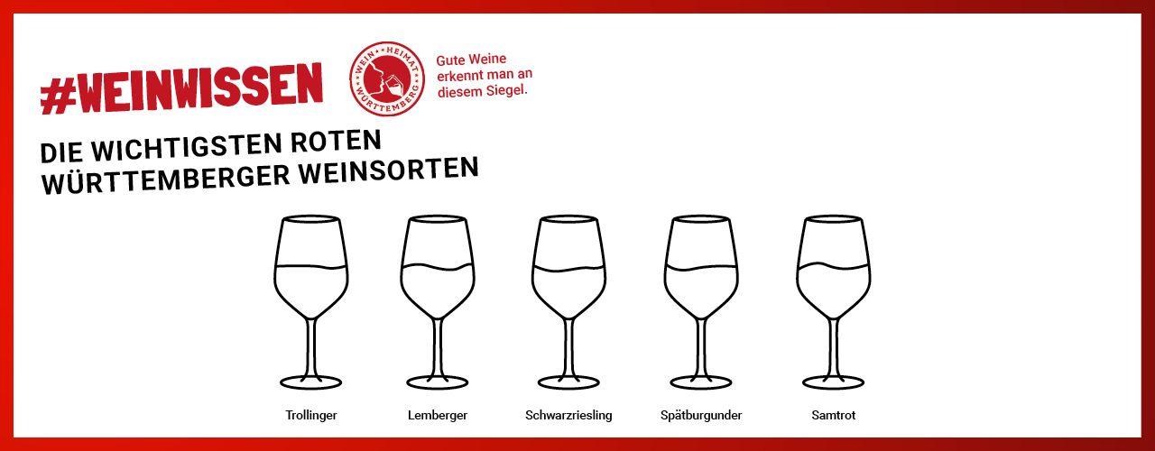 Weinwissen Weinheimat Württemberg - die wichtigsten roten Weinsorten