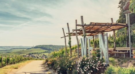 Ausflugstipp im Weinsüden: Brackenheim