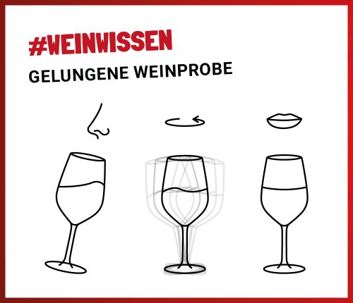 Tipps für eine Weinprobe Weinheimat Württemberg