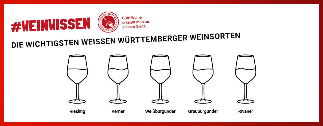 Weißweine aus Württemberg Weinheimat Blog