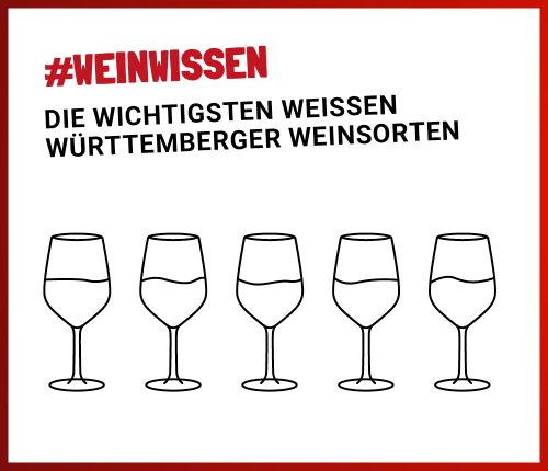 Weißwein: Die wichtigsten Rebsorten in Württemberg