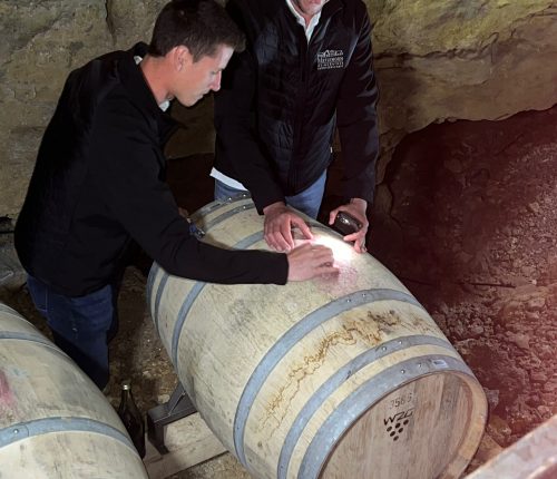 Nahaufnahme Barrique mit dem Höhlenwein, zwei Weingärtner der Genossenschaft kontrollieren den Verschluss.