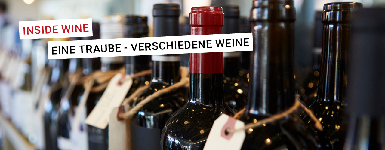 Verschiedene Weine, konkret mehrere Rotweinflaschen sind hintereinander gestellt zu sehen, im Anschnitt.