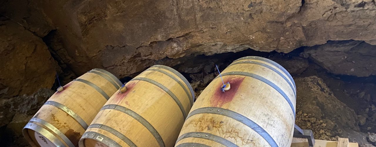 Höhlenwein: Die Barriques der WZG mit dem Wein der Weingärtnergenossenschaft Metzingen-Neuhausen in der Bärenhöhle