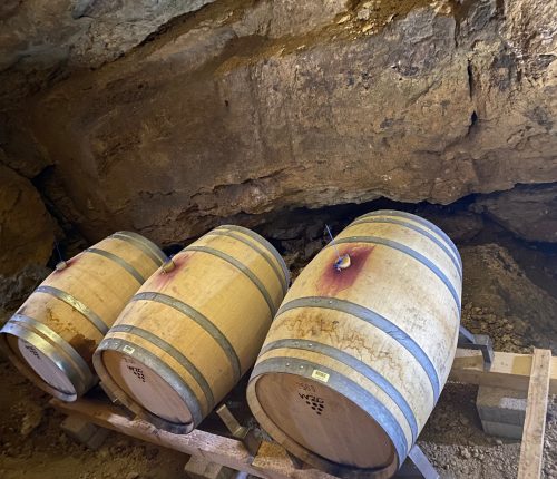 Höhlenwein: Die Barriques der WZG mit dem Wein der Weingärtnergenossenschaft Metzingen-Neuhausen in der Bärenhöhle