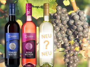 Die drei Weine der Linie "Tobias Mayer" der Weingärtner Marbach, der neue Wein aber noch mit verhülltem Etikett
