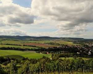 Region Hohenlohe Weinberge
