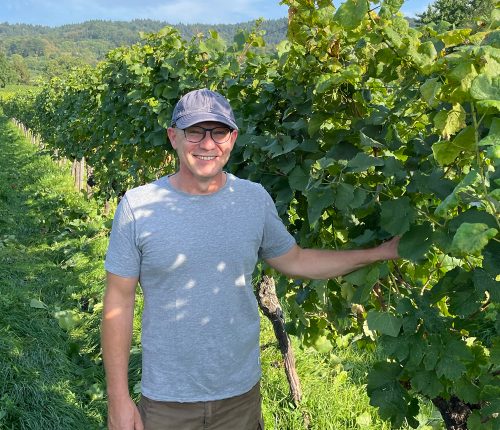 Inside Wine - Interview: Ökologischer Weinbau