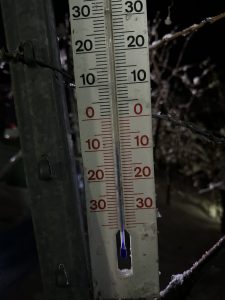 Thermometer, das -7 Grad Celsius anzeigt - ausreichend zur Lese von Eiswein, wie hier im Beitrag beschrieben in Metzingen