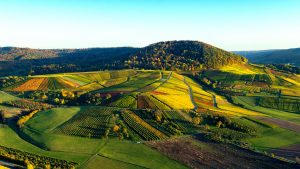 Luftaufnahme von Weinlandschaft in Hohenlohe