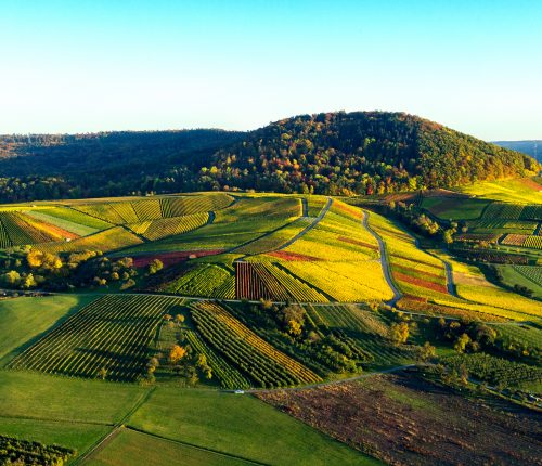 Luftaufnahme von Weinlandschaft in Hohenlohe