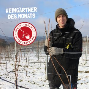 Weingärtner des Monats 2024, Stefan Schnepf von der Felsengartenkellerei Besigheim