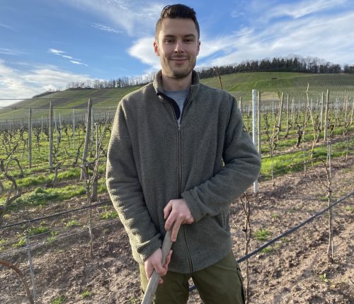 Der Weingärtner des Monats März 2024, Markus Conz vom Weinkonvent Dürrenzimmern in seinem Weinberg